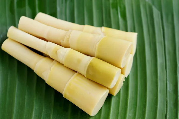 Pile Boiled Bamboo Shoots Green Banana Leaf Local Thai Food — Stock fotografie