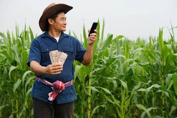 Portrait Asian Man Farmer Maize Garden Holds Thai Banknote Money — стокове фото