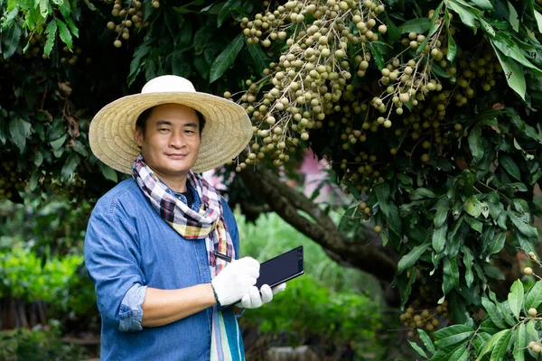 Handsome Asian man farmer is at orchard, wears hat, hold smart tablet. Concept : Smart farmer, use technology wireless internet to search and do research about agriculture. Export Thai fruits.