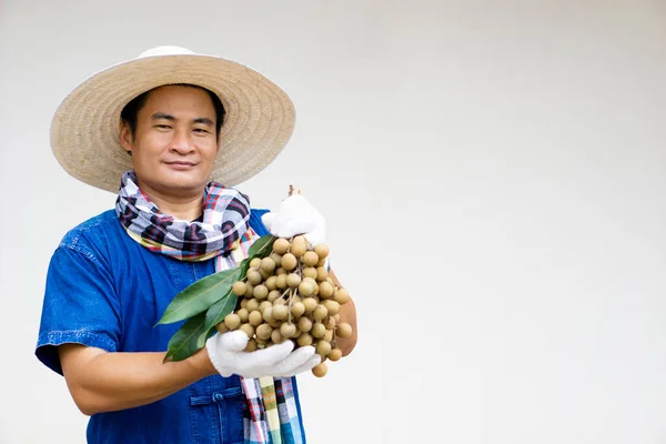 Handsome Asian man farmer wears hat, blue shirt and gloves, holds fruits, isolated on gray background. Concept : Thai farmers grow organic longan as an export product of Thailand.