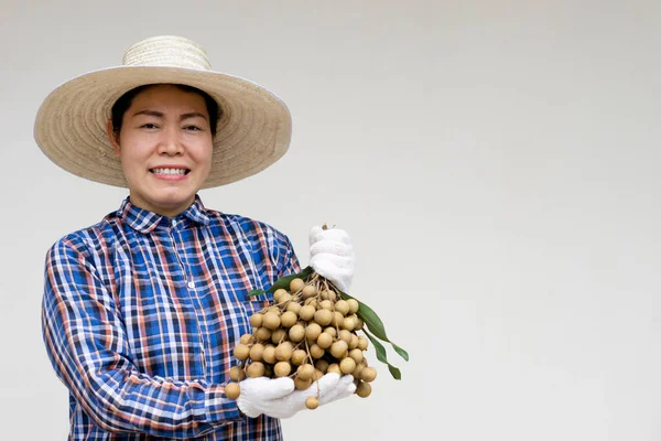 Portrait of happy Asian woman farmer wears hat, plaid shirt, holds longan fruits. Concept : Thai farmers grow organic longan as an export product of Thailand.