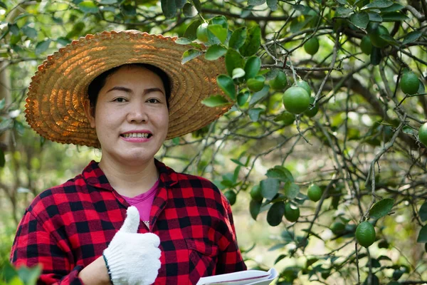 Happy Asian Woman Gardener Garden Checking Quality Diseases Organic Lemons — Stockfoto