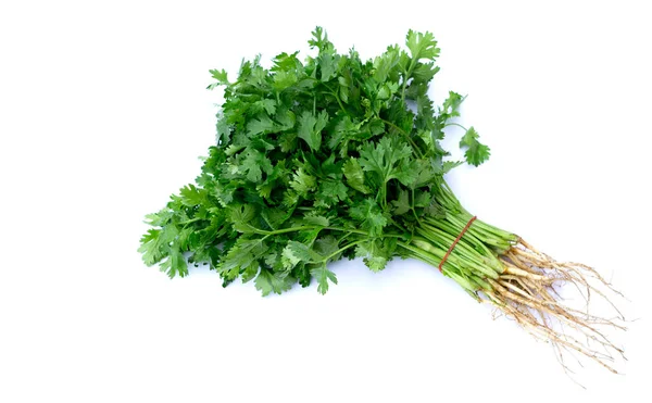 Ramo Verduras Frescas Cilantro Sobre Fondo Blanco Concepto Ingrediente Orgánico —  Fotos de Stock