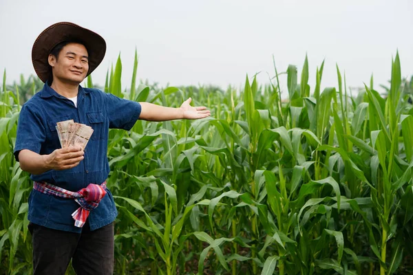 Asian man farmer is at organic maize garden, holds Thai banknote money, makes hand gesture to present his crop with proud. Concept : Happy farmer to get profit, income, agriculture supporting money.