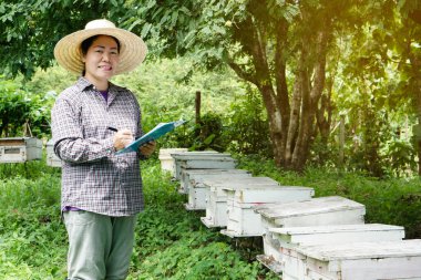 Asian female farmers is surveying and inspecting wooden beekeeping boxes in the orchard for raising bees. Do research to develop quality. Concept : Business beekeeping industry  for honey in orchards.