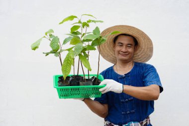 Happy Asian man farmer holds green basket of young plants, prepare to grow in garden. Concept : economic forest plantation. Gardening. Forest  and environment conservation. Go green for the world     