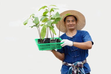 Happy Asian man farmer holds green basket of young plants, prepare to grow in garden. Concept : economic forest plantation. Gardening. Forest  and environment conservation. Go green for the world     