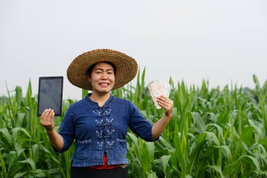Asian woman farmer wear hat and blue shirt, holds smart tablet and Thai banknote money at maize garden. Concept : farmer use technology internet connection to manage  agricultural crops .
