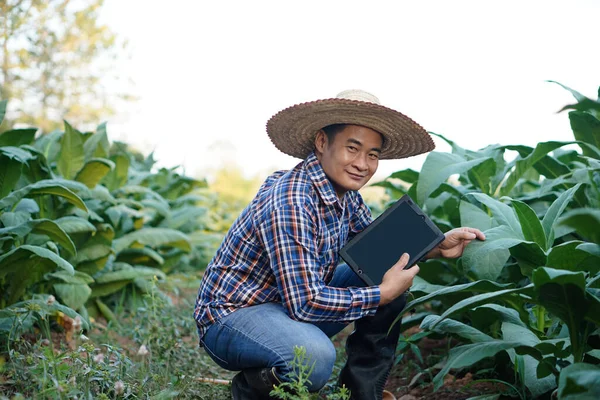 Asian Man Farmer Garden Wears Hat Plaid Shirt Holds Smart — Stockfoto