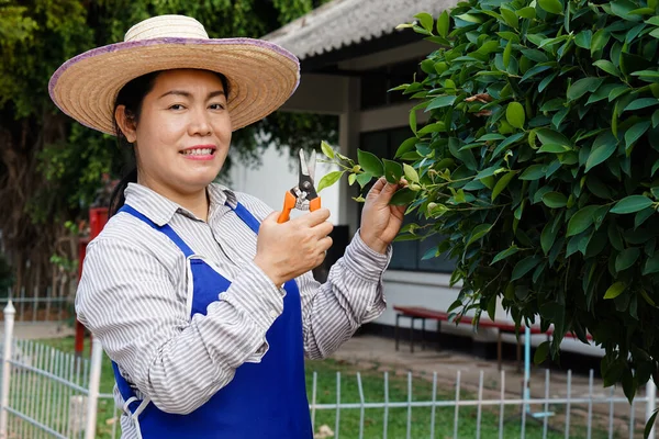 Asiatische Gärtnerin Schneidet Busch Hält Schere Der Hand Zeit Zum — Stockfoto