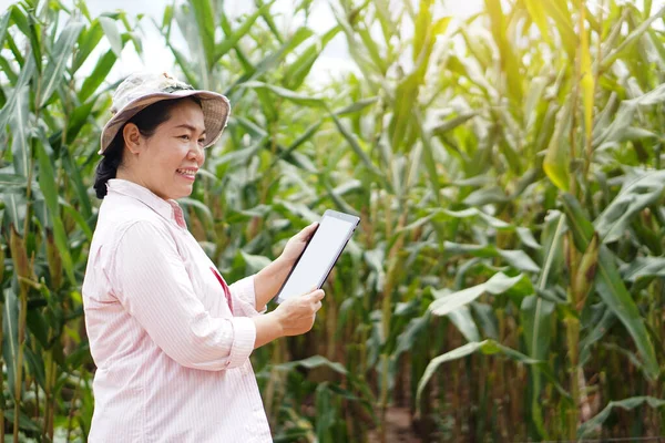 Asian woman farmer is at  garden, holds smart tablet to check quality and diseases of  plants. Concept : smart farmer, use technology  in agriculture research.