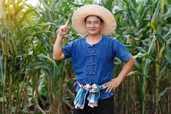 Handsome Asian man farmer is at maize garden, wears hat and Mor Hom shirt, put hand on hip and point finger up, feels confident.  Concept : Agriculture occupation. Get idea to do somethings.