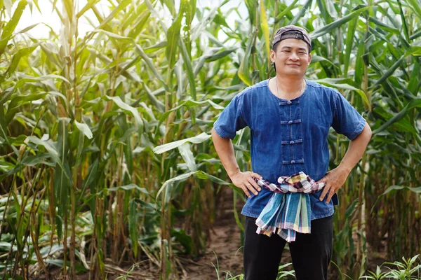 ハンサムなアジアの男の農家は 夕方にはトウモロコシの庭では タイの伝統的な農家の衣装を着て 腰に手を置く 自信を感じている 農業職業 — ストック写真
