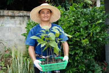 Asian man gardener hold green basket that contain young plants, prepare to grow in garden. Concept : economic forest plantation. Gardening. Forest  and environment conservation. Go green for the world