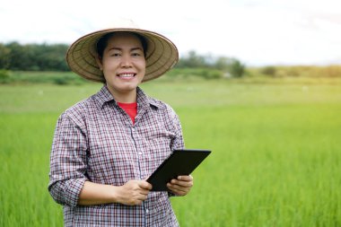 Mutlu Asyalı kadın çiftçi yeşil çeltik tarlasında, şapka takıyor, ekose gömlek giyiyor, akıllı tablet tutuyor, gülümsüyor. Kavram: Tarım işgali, kablosuz teknolojiyi araştırma için kullanmak. Akıllı çiftçi.    