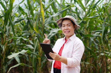 Mutlu Asyalı kadın çiftçi mısır bahçesinde, akıllı tableti tut, parmağını kaldır. Tarım araştırmaları kavramı. Akıllı çiftçi. Ekinleri yönetmek ve geliştirmek için teknolojiyi kullanmak.        