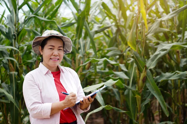 Asian woman farmer is checking and collecting information of growth and diseases of plants in maize garden in Thailand. Concept : Agricultural study and research to develop crop.