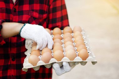 Yakın çiftçi çiftlikten bir tepsi yumurtayı elinde tutuyor. Organik tarım kavramı, çiftçiler sağlıklı ekolojik gıda üretiyor. Kötü ekonomide en iyi yemek..             