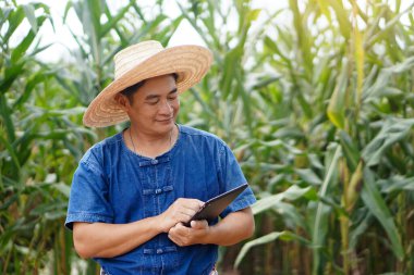 Asyalı çiftçi portresi şapka, mavi gömlek giyer ve mısır bahçesinde akıllı tablet bulundurur. Fikir: akıllı çiftçi, teknolojiyi tarımda kullan. Mutlu çiftçi.             