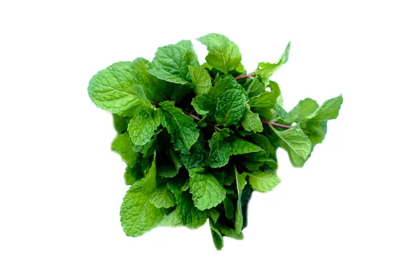 Organic Thai Mints Vegetable Concept Thai Herbal Vegetable Has Variety — Stok Foto