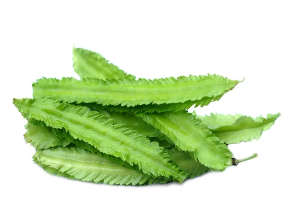 Betel Frutos Frijol Sobre Fondo Blanco Los Aldeanos Tailandeses Cultivan —  Fotos de Stock