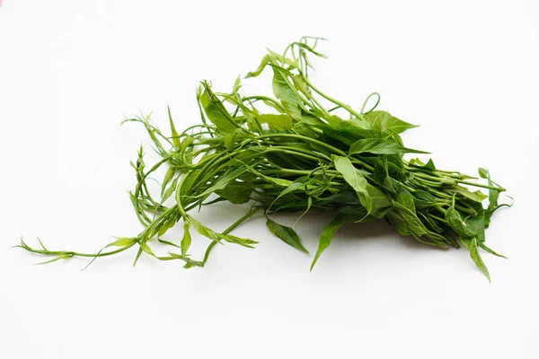 Organic Thai Herbal Vegetables Gurmar Pak Chiang Thai White Background — Stock Photo, Image