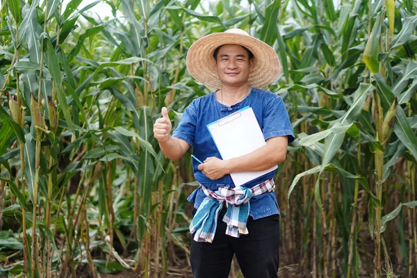 Portrait of Asian man farmer is at maize garden,hold paper clipboard, Thumbs up. Concept : Agricultural study and research. Organic farming.