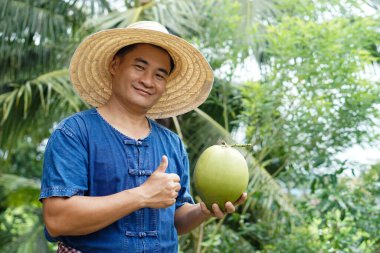 Happy Asian man gardener holds organic coconut fruit at his garden . Concept : Agriculture crop in Thailand. Thai farmers grow coconuts 