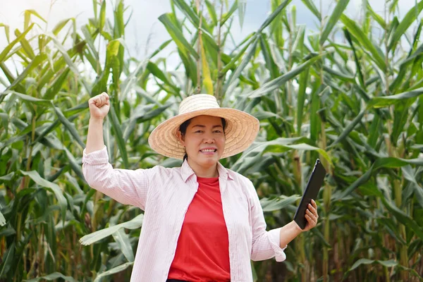 Happy Asian woman farmer is at maize garden, hold smart tablet, feels successful. Concept : Agricultural research. Smart farmer. Using technology to manage and develop crops.