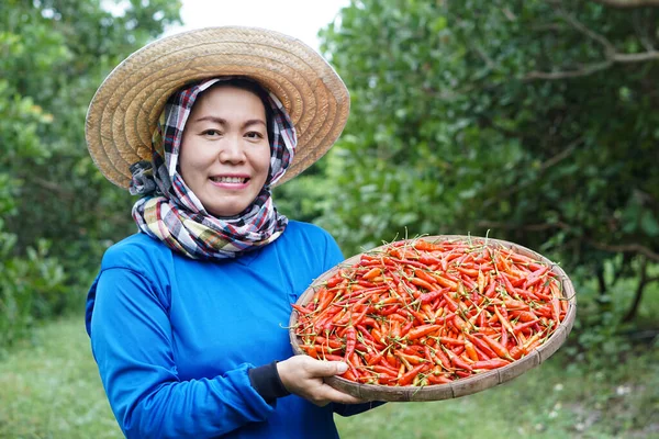 Mujer Asiática Feliz Agricultor Está Jardín Lleva Sombrero Camisa Azul — Foto de Stock