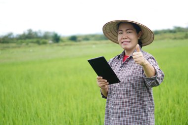 Asyalı kadın yeşil çeltik tarlasında, şapka ve ekose gömlek giyiyor, elinde akıllı tablet var. Parmağını kaldır. Kavram: Tarım işgali, kablosuz teknolojiyi araştırma için kullanmak. Akıllı çiftçi