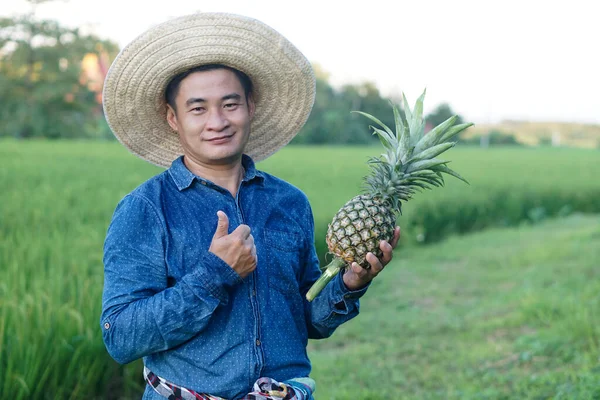 Handsome Asian man farmer wears hat, blue shirt, holds pineapple fruit, thumbs up. Concept : Agriculture crop in Thailand. Farmer satisfied. Organic crops. Seasonal fruits.