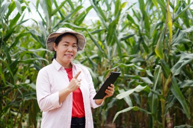 Mutlu Asyalı kadın çiftçi mısır bahçesinde, akıllı tableti tut, parmağını kaldır. Tarım araştırmaları kavramı. Akıllı çiftçi. Ekinleri yönetmek ve geliştirmek için teknolojiyi kullanmak.              