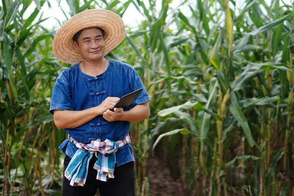 Asian man farmer wears hat, blue shirt and holds smart tablet at maize garden. Concept : smart farmer, use technology in  agriculture. Agriculture research through internet device.