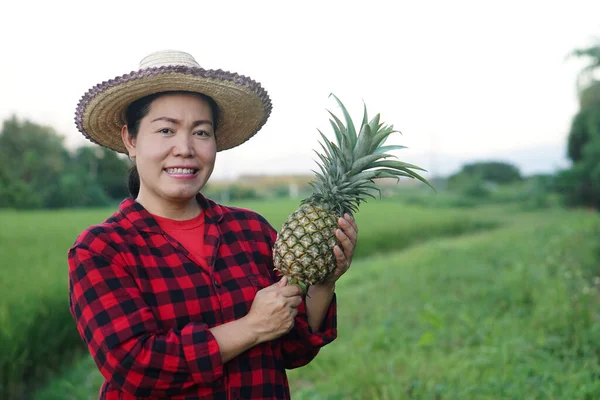 Asian woman farmer wears hat, red plaid shirt, holds pineapple fruit. Concept : Agriculture crop in Thailand. Farmer satisfied. Organic crops. Seasonal fruits