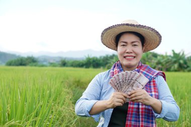  Asyalı çiftçi kadın çeltik tarlasında, Tayland paralarını elinde tutuyor. Çiftçi, kar, gelir ve tarımla para kazanmaktan mutlu. Ekinlerle gurur duyuyorum..                      