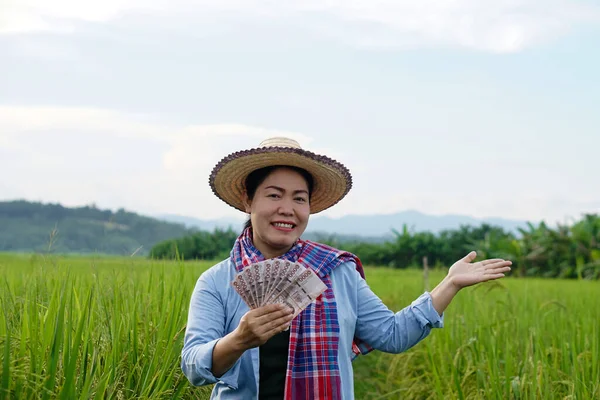 Happy Asian farmer woman is at paddy field, hold Thai banknote money. Concept : Farmer happy to get profit, income, agriculture supporting money. Proud on crops.