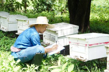 Asian man farmers is surveying and inspecting wooden beekeeping boxes in the orchard for raising bees. Do research to develop quality. Concept : Business beekeeping industry  for honey in orchards.   