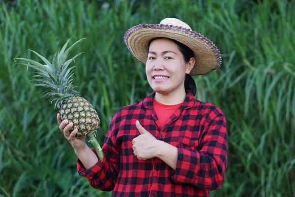 Asian woman farmer wears hat, red plaid shirt, holds pineapple fruit, thumbs up. Concept : Agriculture crop in Thailand. Farmer satisfied. Organic crops. Seasonal fruits.