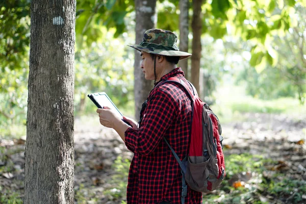 アジアの男性は 森林を調査している帽子をかぶって 赤い再生シャツ バックパックを着用し スマートタブレットを保持しています スマートデバイス技術を使用して環境や研究ツリーを管理する — ストック写真