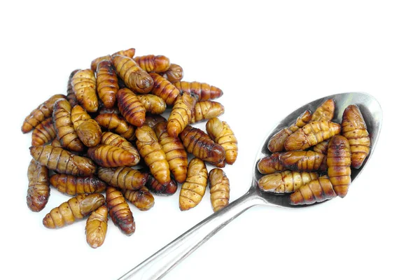 Fried Chrysalis Izolált Fehér Alapon Koncepció Fura Kaja Hagyományos Thai — Stock Fotó