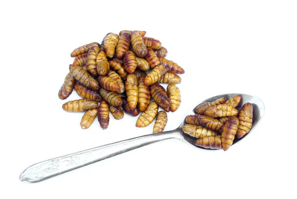 油炸菊花在白色背景上被分离出来 奇怪的食物 传统的泰国街食品 食用蠕虫 奇怪的食物 昆虫吃 高蛋白 — 图库照片