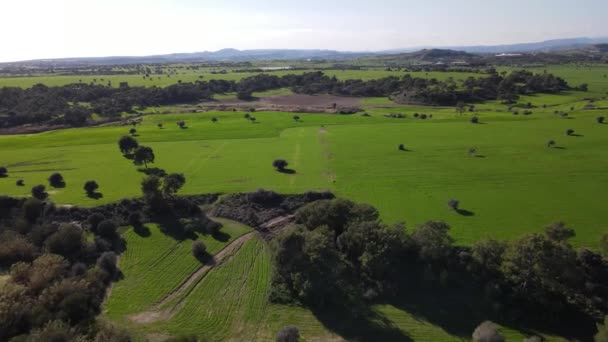 Chipre Vista Diurna Dos Campos Verdes Disparo Drones Vista Diurna — Vídeo de Stock