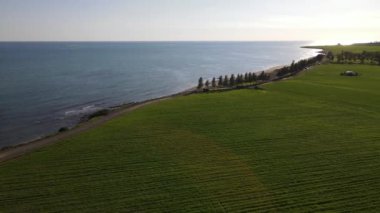 Kıbrıs. Akdeniz 'in gündüz manzarası. Bir İHA 'dan ateş etmek. Gündüz deniz manzarası ve yeşil çayırlar. Tarlalar ve su. Güzel manzara.