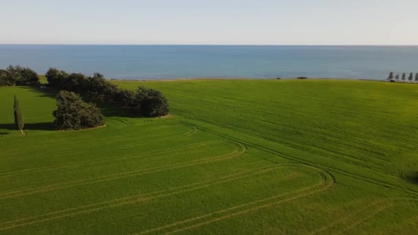 Zypern Tagesblick Auf Das Mittelmeer Schießen Aus Einer Drohne Tagsüber — Stockvideo