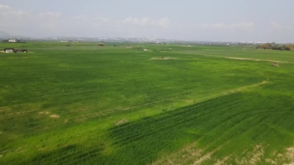 Chipre Vista Diurna Dos Campos Verdes Disparo Drones Vista Diurna — Vídeo de Stock