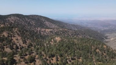 Kıbrıs. Güzel dağ manzarası. Troodos Dağları. Yaz görünümü.