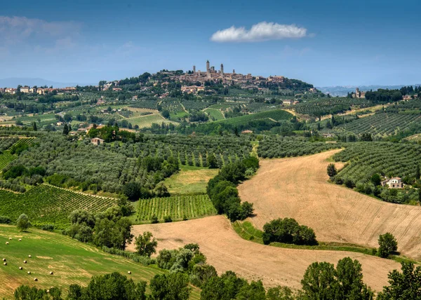 San Gimignano 'nun ortaçağ kuleleri
