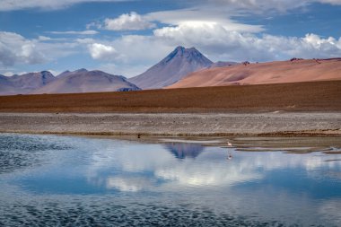Paso de Jama, Arjantin Şili