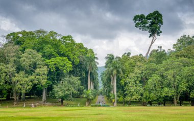 Kandy Kraliyet Botanik Bahçeleri